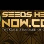 seedsherenow Profile Picture