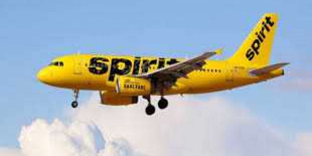 Spirit Airlines Reservations, Online Ticket Booking Tips