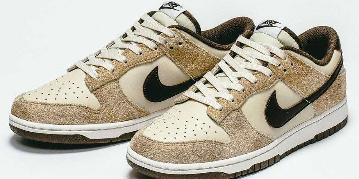 Buy The Nike Dunk Low “Giraffe” Sport Sneakers with Free Shipping