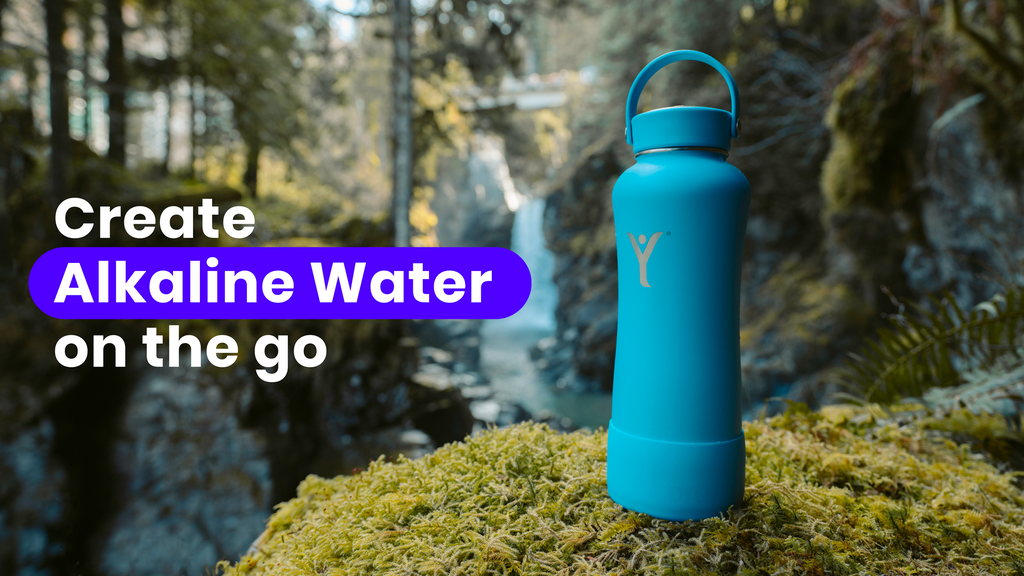 21 oz Insulated DYLN Water Bottle | Alkaline Water On-the-Go