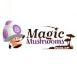 magic mushroomsonline profile picture