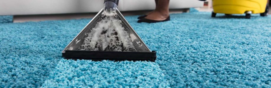 Rug Cleaning Brisbane Cover Image