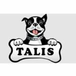talisus Profile Picture