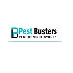 Ants Control Sydney profile picture