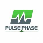 Pulse Phase Profile Picture