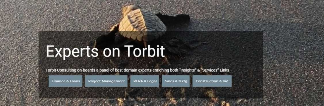 Torbit Consulting Cover Image