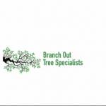 Branch Out Tree Specialist Profile Picture