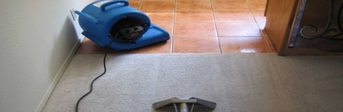 Carpet Cleaning Mill Park Cover Image