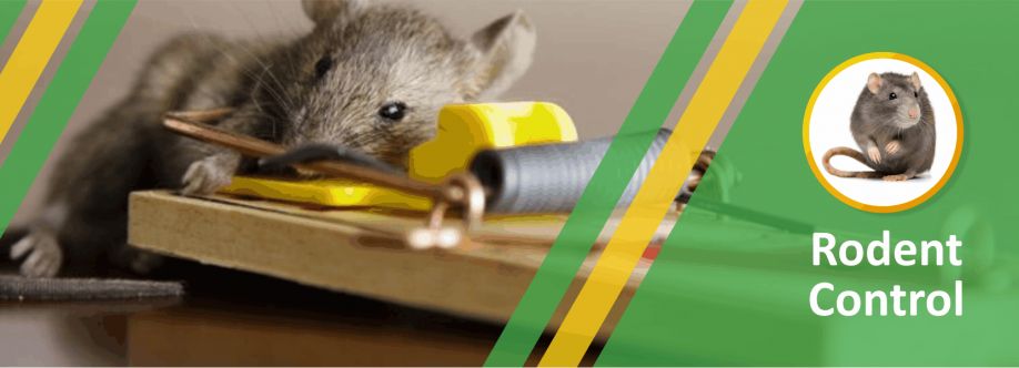 Real Rodent Control Adelaide Cover Image