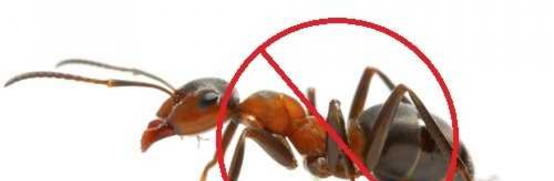 Ant Control Melbourne Cover Image