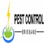 Flea Control Brisbane Profile Picture