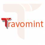 Travomint Flights Profile Picture