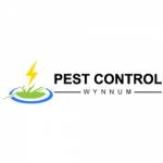 Pest Control Wynnum Profile Picture