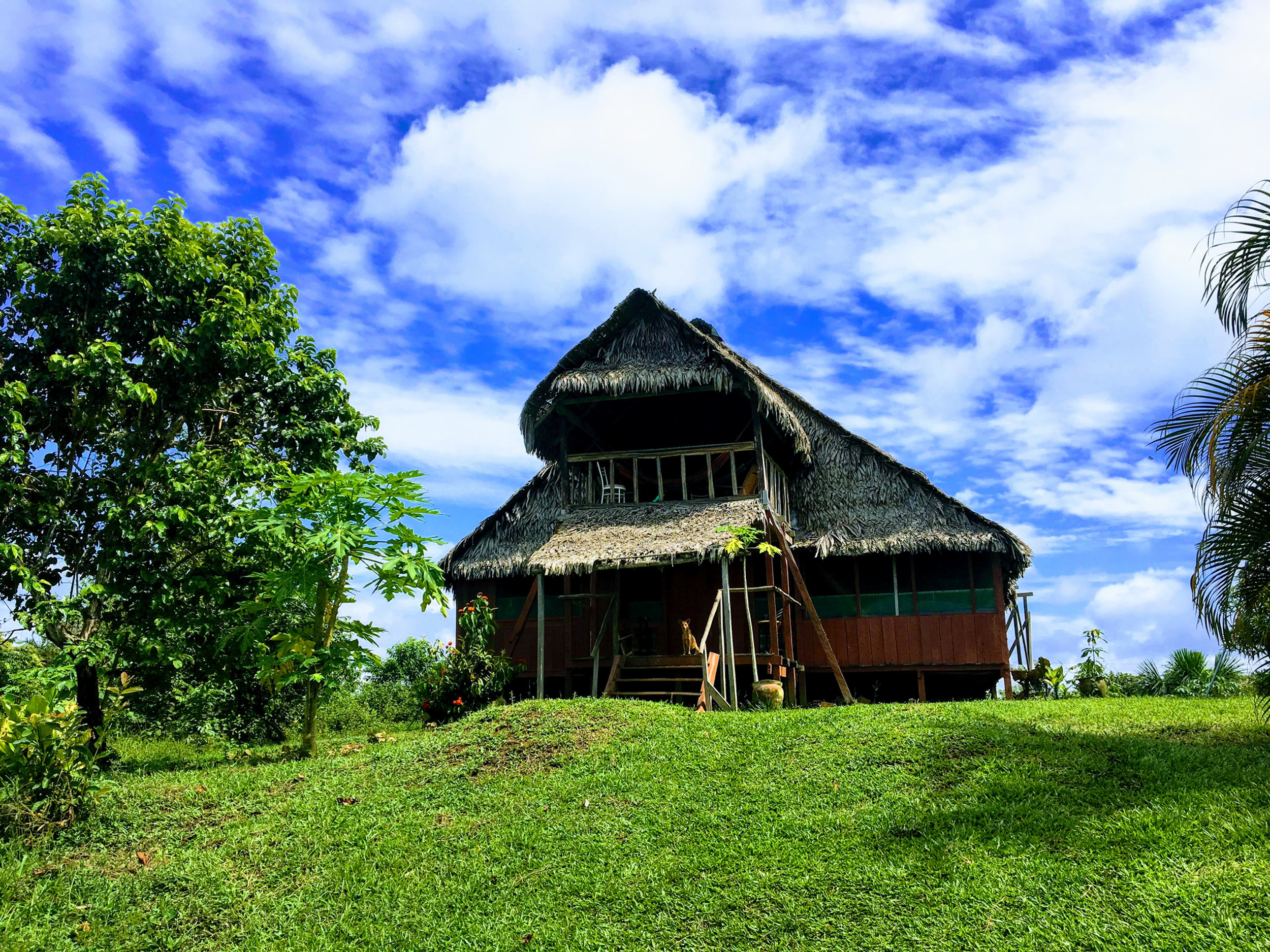 Selva Vida Lodge & Retreat Center- Accommodation in Amazon Jungle, Santa Maria