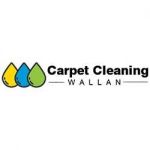 Best Carpet Cleaning Wallan Profile Picture