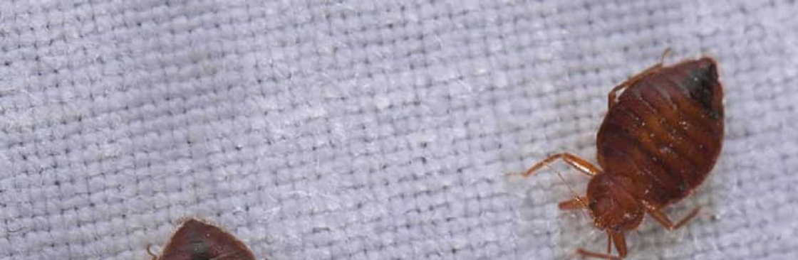 Bed Bugs Control Adelaide Cover Image