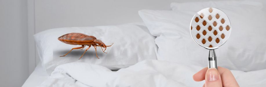 Bed Bugs Control Brisbane Cover Image