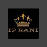 IP Rani Profile Picture