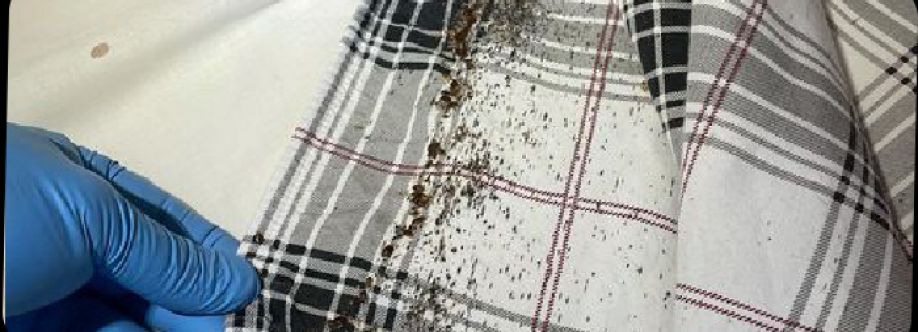 Bed Bug Control Melbourne Cover Image