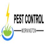 Local Pest Control Mornington profile picture