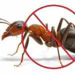 Pest Control Hoppers Crossing Profile Picture