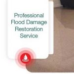 Wet Carpet Water Extraction Toowoomba Profile Picture