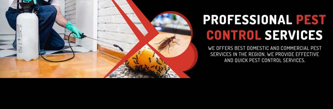 Silverfish Control Adelaide Cover Image