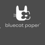 Bluecat Paper Profile Picture
