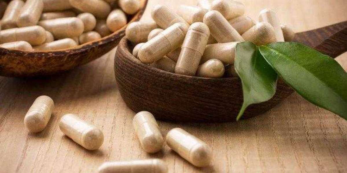 Nutraceutical Excipients Market Share, Growth By Top Company, Region, Applications, Drivers, Trends & Forecast to 20