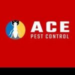 Best Pest Control Frankston Profile Picture