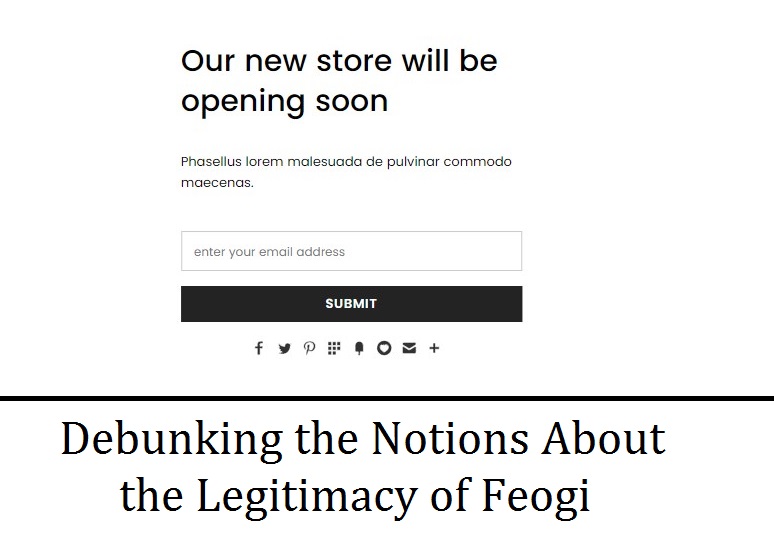 Feogi Review: Debunking the Notions About the Legitimacy of Feogi - Articles 4 Business