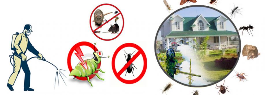 Pest Control Marrickville Cover Image