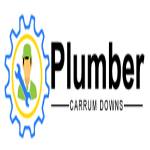 Plumber Carrum Downs Profile Picture