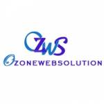 Ozone Web Solution Profile Picture
