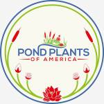 Ponds Plants Profile Picture
