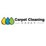 Carpet Cleaning Casey Profile Picture