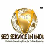 SEO Service in India profile picture