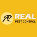 Real Pest Control Adelaide Profile Picture