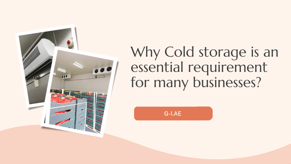 Why Cold storage is an essential requirement for many businesses? - AtoAllinks