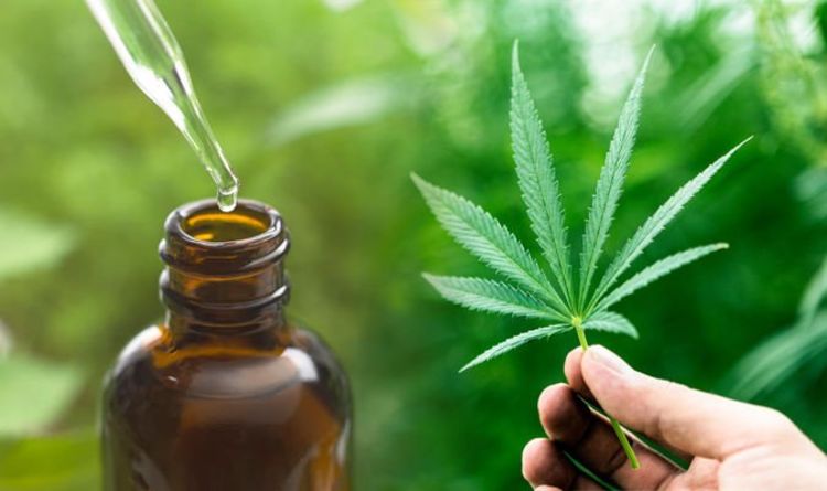 Buy Online CBD Oil For Anxiety, Sleep, Sports, Athletes - WELCOME TO