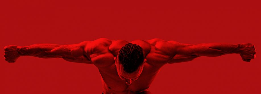 Your Muscle Shop Cover Image