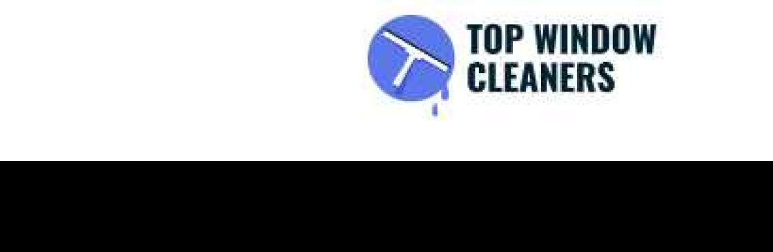 Top Window Cleaners Cover Image