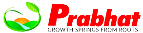 Prabhat PROM Fertilizer Manufacturers In India | Prabhat Fertilizer & Chemical Works