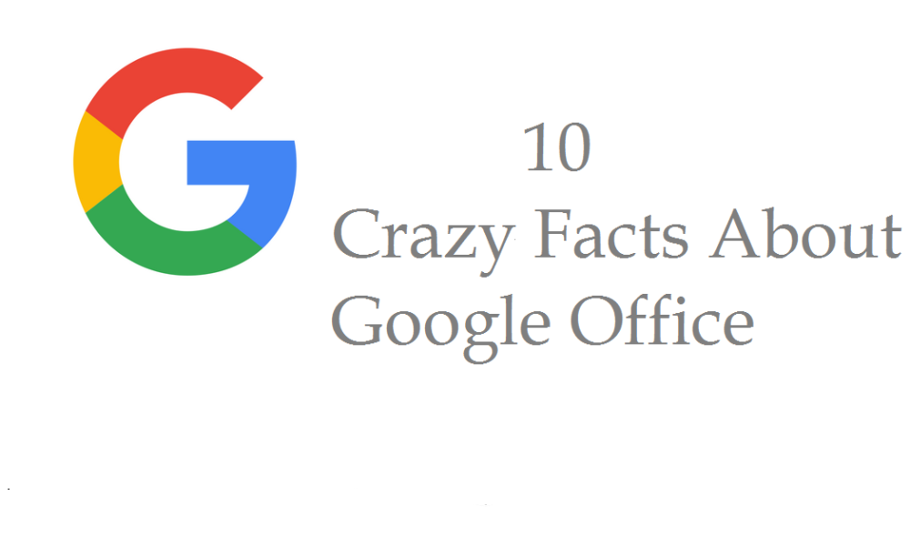 Top 10 Crazy Facts About Google Office| w3facts