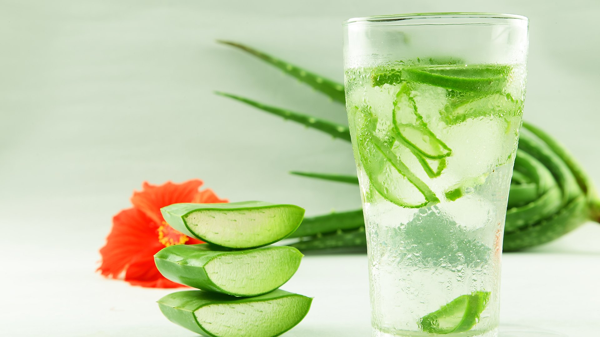 Aloe Vera Gel And Drink As A Healthy Therapy – Haleynutrition