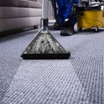 SP Rug Cleaning Adelaide Profile Picture