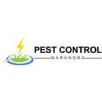 Pest Control Narangba Profile Picture