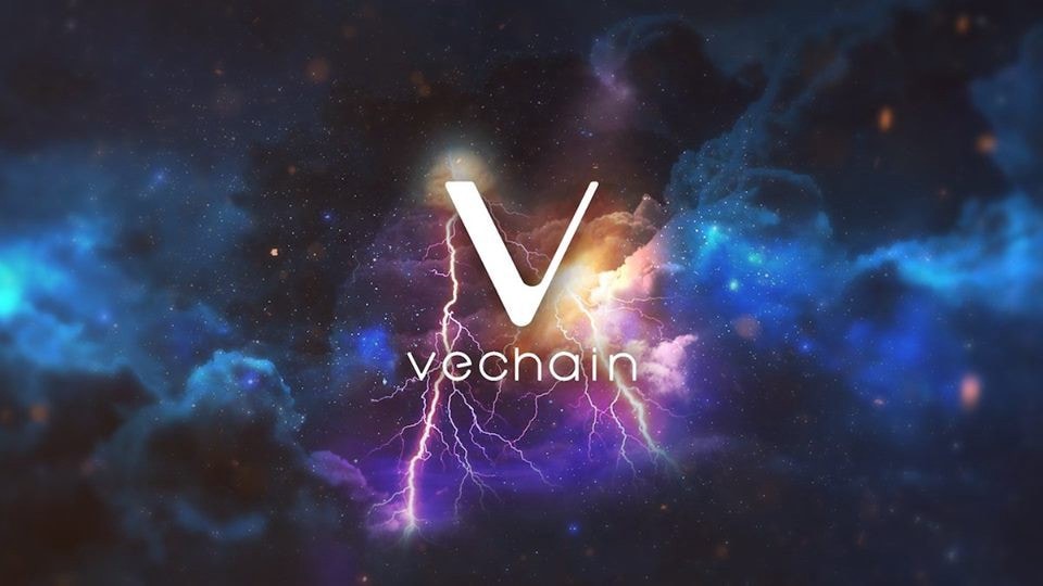 Is VeChain a good investment in 2022? - Bexplus Blog