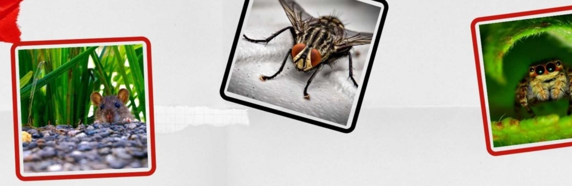Squeak Pest Control Canberra Cover Image
