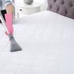 SP Mattress Cleaning Adelaide profile picture